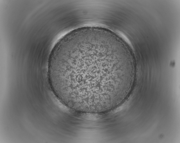 X0000090460831200707272235