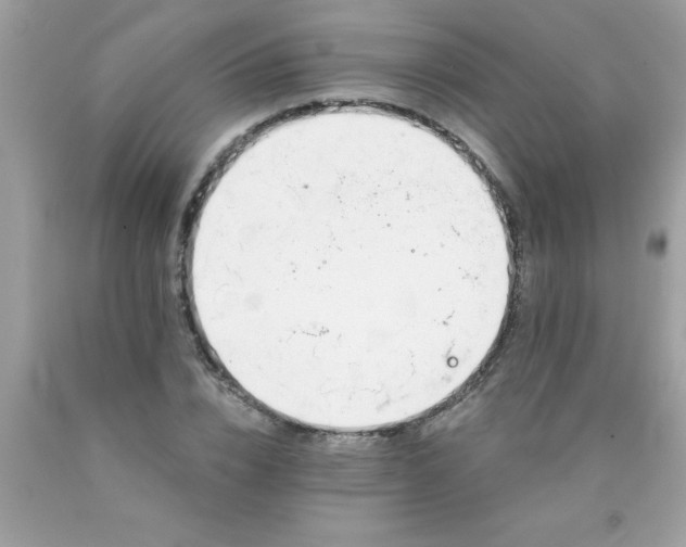 X0000090460832200707272235