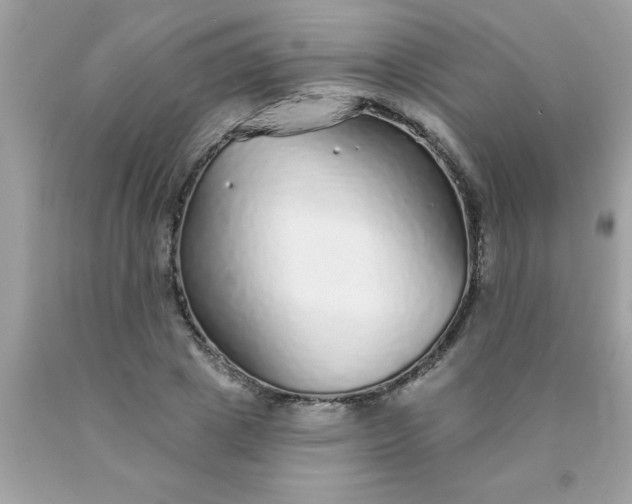 X0000090460833200707272235
