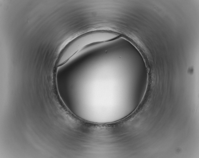 X0000090460834200707272235