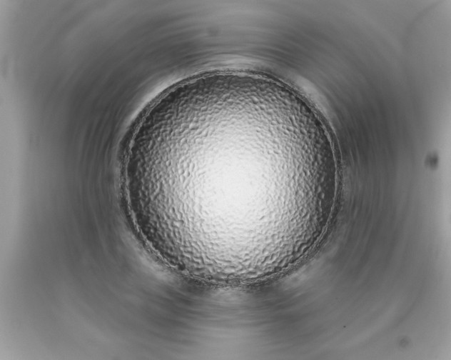 X0000090460835200707272235