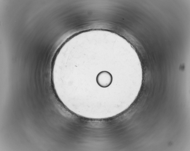 X0000090460836200707272235