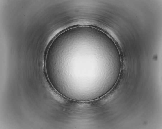X0000090460837200707272235