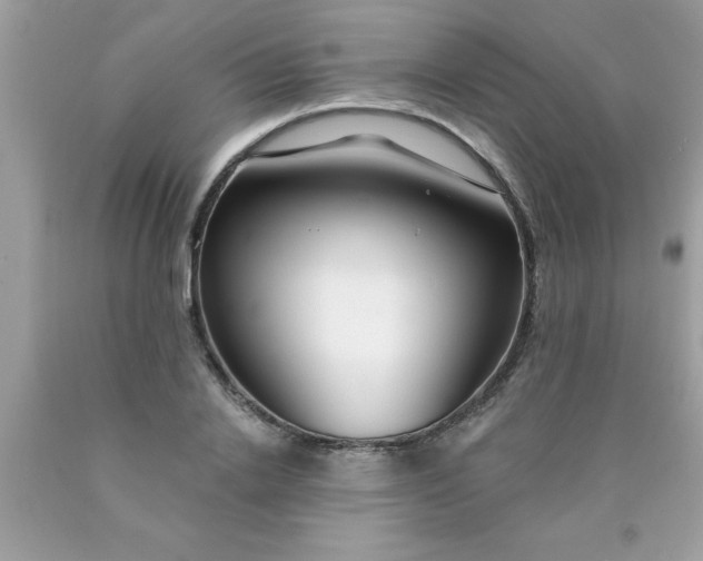 X0000090460838200707272235