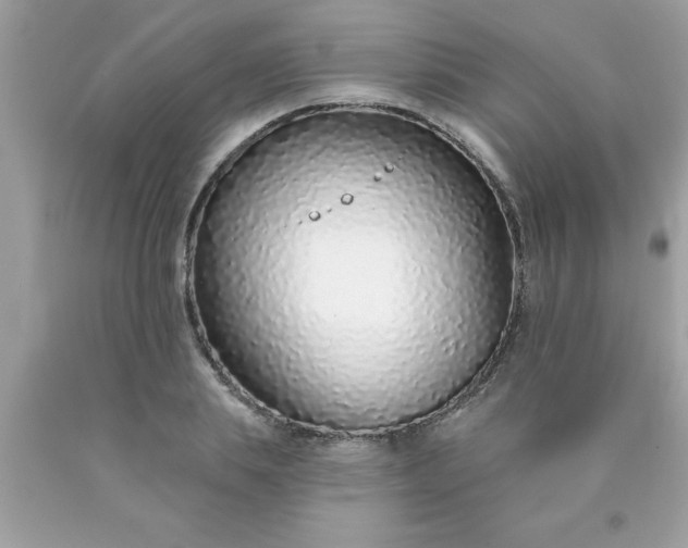 X0000090460839200707272235