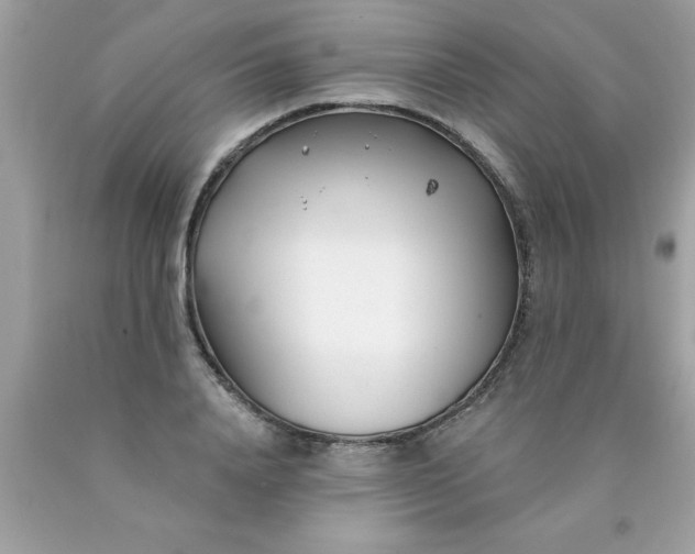 X0000090460840200707272235