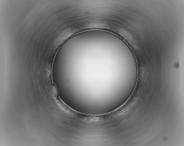 X0000090460841200707272235
