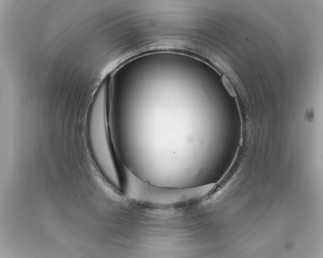X0000090460842200707272235