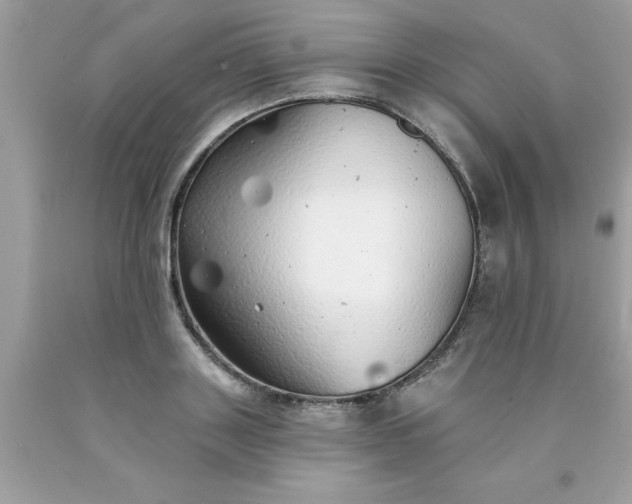 X0000090460843200707272235