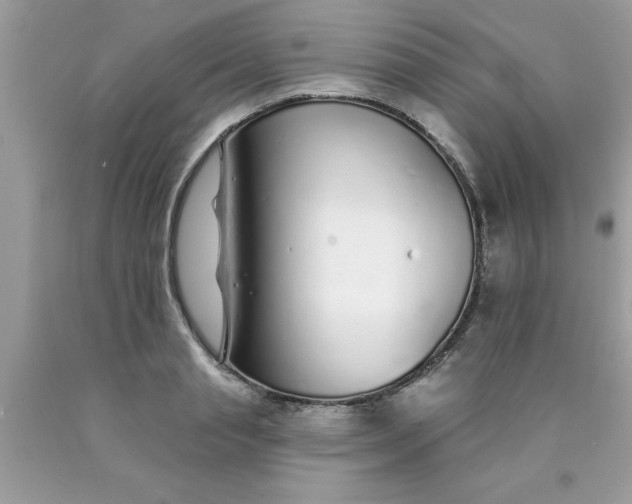 X0000090460845200707272235