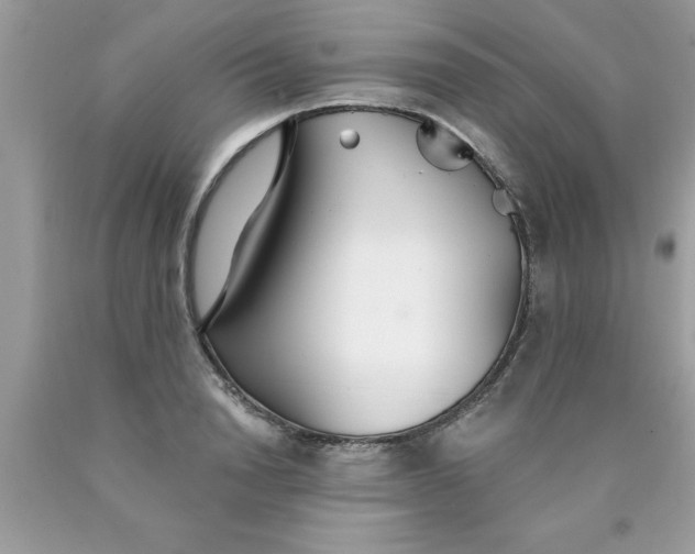 X0000090460846200707272235