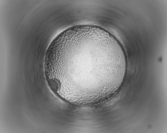 X0000090460847200707272235