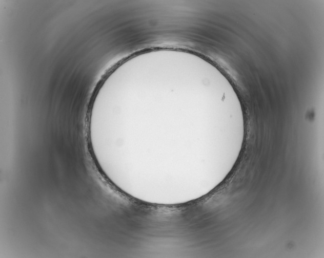 X0000090460848200707272235
