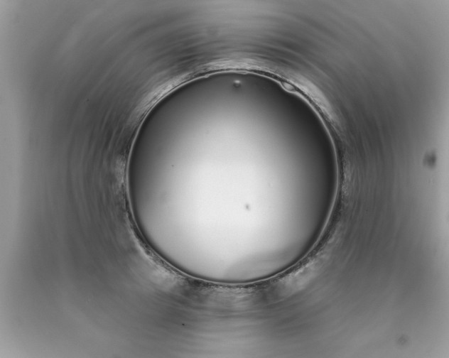X0000090460849200707272235