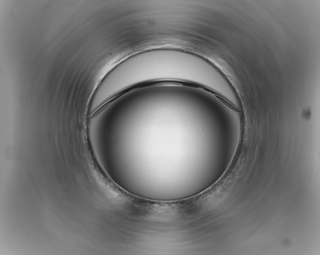 X0000090460850200707272235