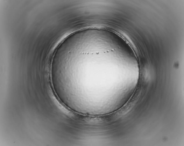 X0000090460851200707272235