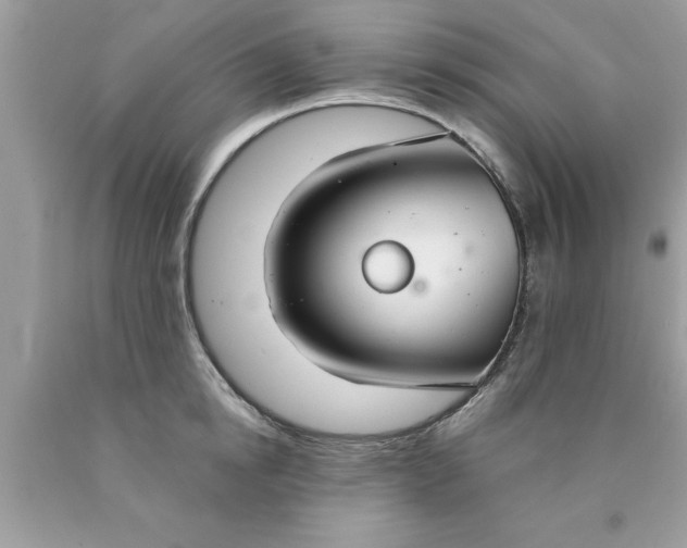 X0000090460854200707272235