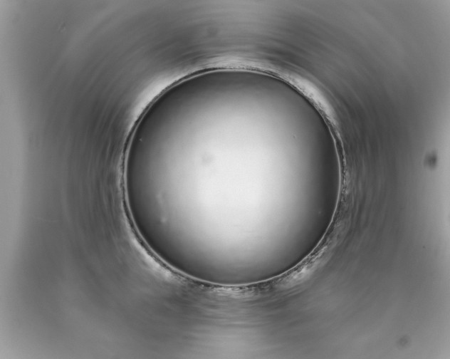 X0000090460855200707272235