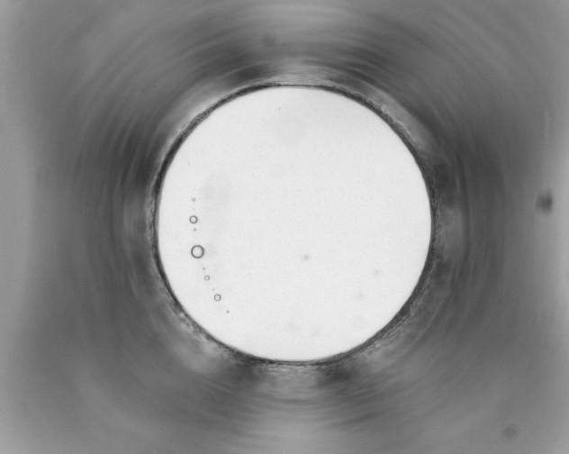 X0000090460856200707272235