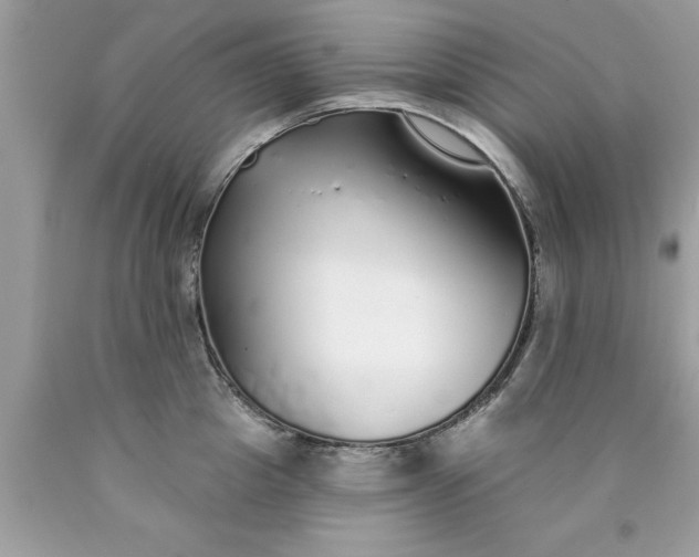 X0000090460857200707272235