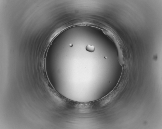 X0000090460858200707272235