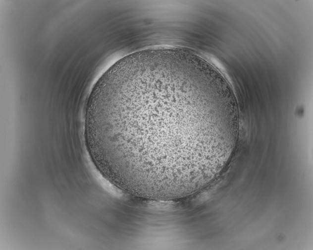 X0000090460859200707272235