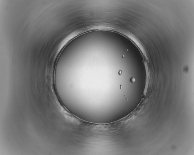 X0000090460861200707272235