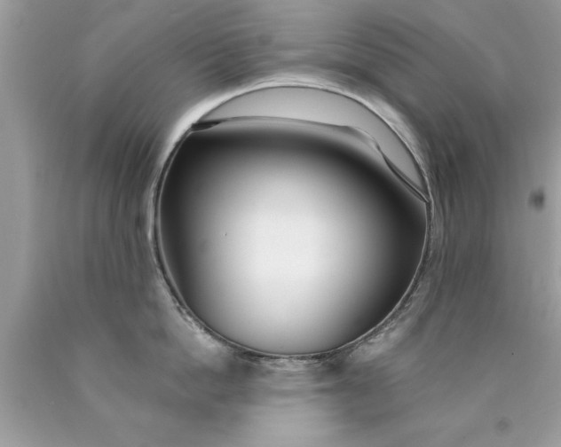 X0000090460862200707272235