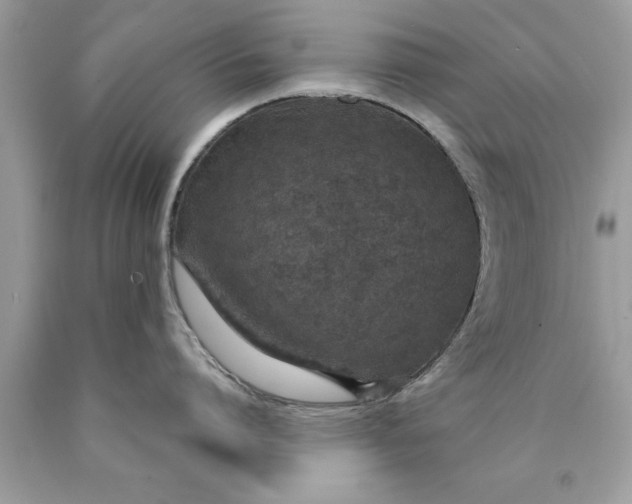 X0000090460864200707272235