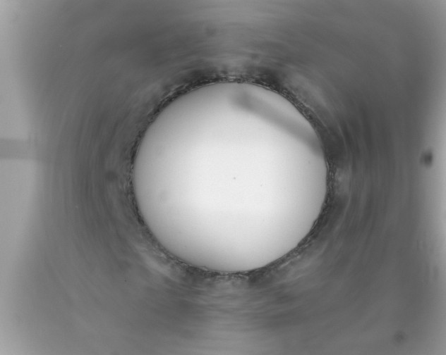 X0000090460865200707272235