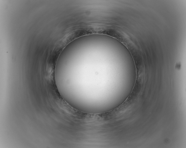 X0000090460866200707272234