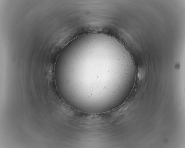 X0000090460867200707272234