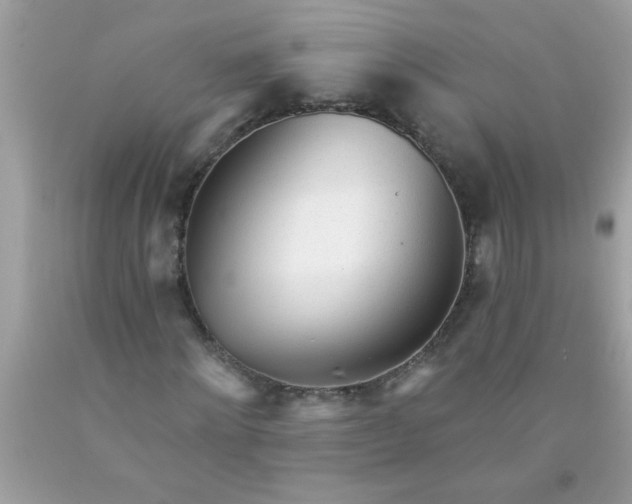 X0000090460868200707272234