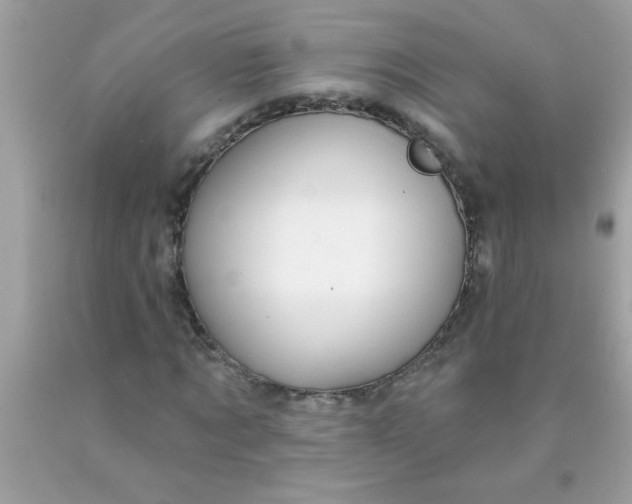 X0000090460869200707272234