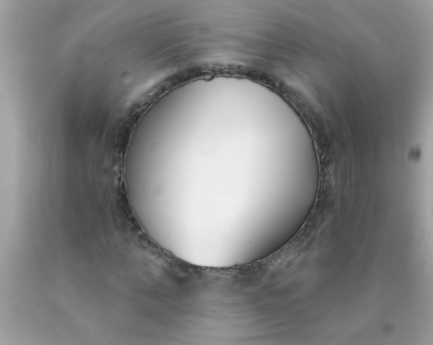 X0000090460870200707272234