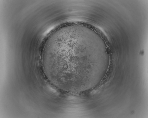 X0000090460871200707272234