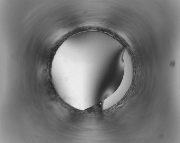 X0000090460872200707272234