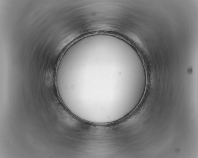 X0000090460873200707272234