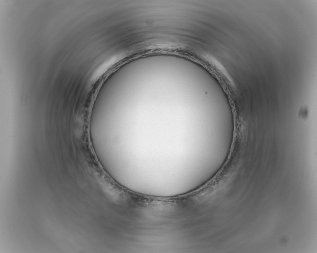 X0000090460874200707272234