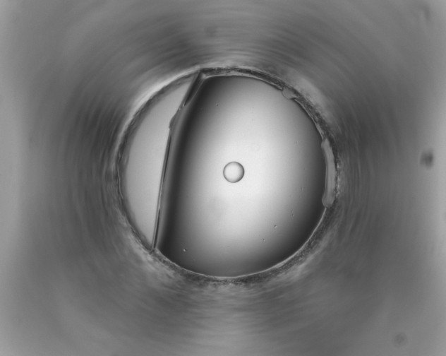 X0000090460876200707272234