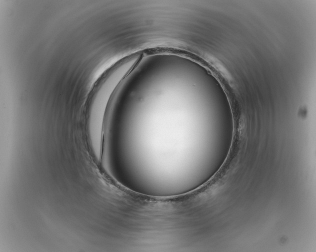 X0000090460877200707272234