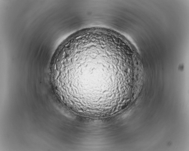 X0000090460879200707272234