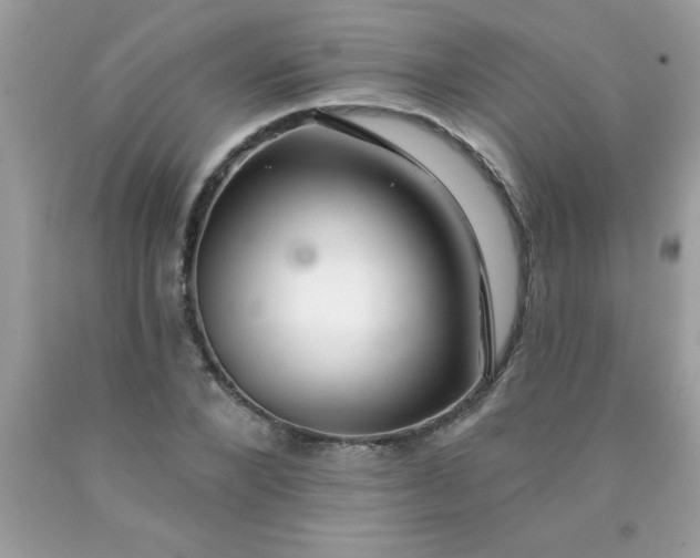X0000090460880200707272234