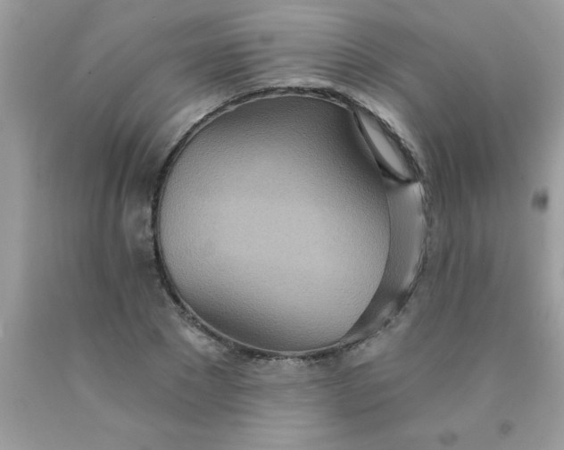 X0000090460881200707272234