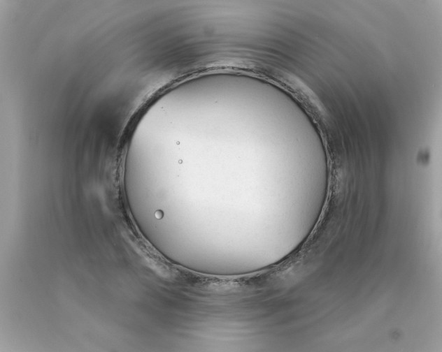 X0000090460882200707272234