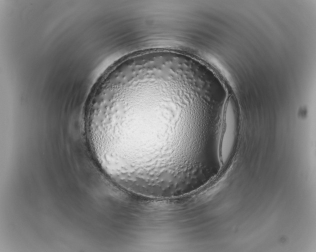 X0000090460883200707272234