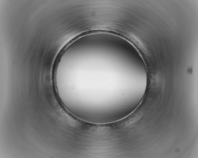 X0000090460884200707272234