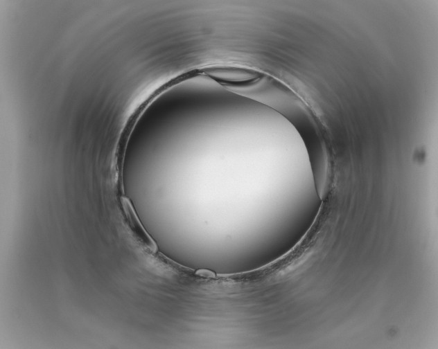 X0000090460885200707272234