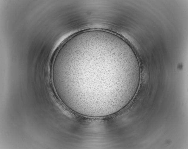 X0000090460886200707272234