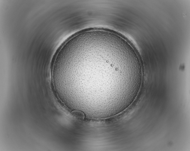 X0000090460887200707272234
